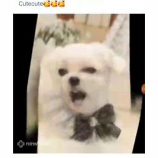 Alotta_Reviews님이 올린 리뷰 사진 3