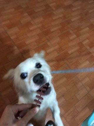 PhươngHoa님이 올린 리뷰 사진 3