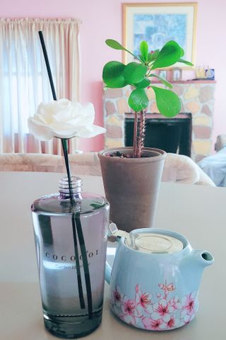 코코도르 디퓨저 120ml, 200ml, 500ml — 5점을 준 리뷰어가 2022년 2월 올린 사용 사진