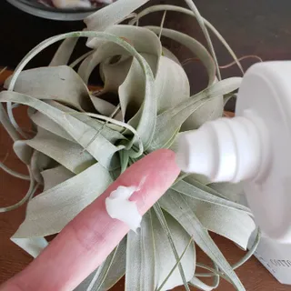 www.BoredMom.com님이 올린 리뷰 사진 3