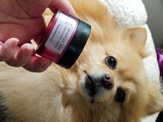 Peepingpomeranian님이 올린 리뷰 사진 1