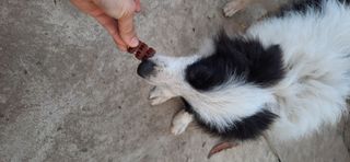 ChchBng님이 올린 리뷰 사진 1