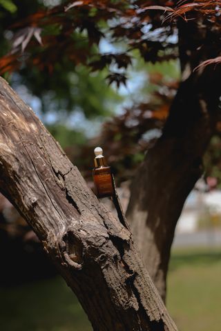 [오뜨베] 신바이오 베타글루칸 세럼 30ml — 5점을 준 리뷰어가 2021년 6월 올린 사용 사진