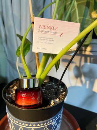 [The Skin House] Wrinkle Supreme Cream — 4점을 준 리뷰어가 2023년 1월 올린 사용 사진