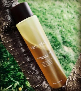 VELY VELY Artemisia Balance Essence — 5점을 준 리뷰어가 2021년 4월 올린 사용 사진