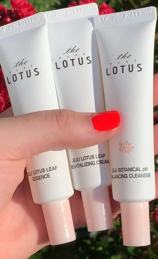 더 퓨어 로터스 제주 식물 선크림 / 제주 연잎 &amp; 동백 미스트 / 순수한 연꽃 어메니티 세트 — 5점을 준 리뷰어가 2022년 7월 올린 사용 사진