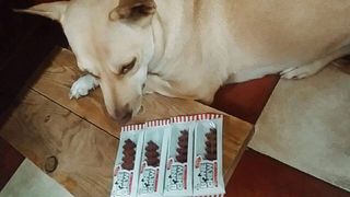 UyenPham님이 올린 리뷰 사진 3