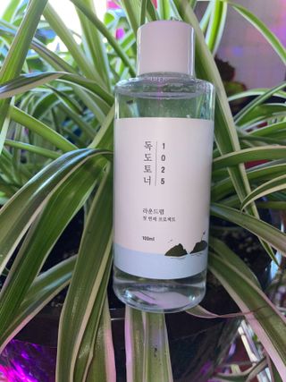 JoanneCoffin님이 올린 리뷰 사진 1