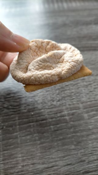 Suama님이 올린 리뷰 사진 4