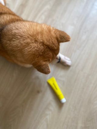 StellaTan님이 올린 리뷰 사진 1