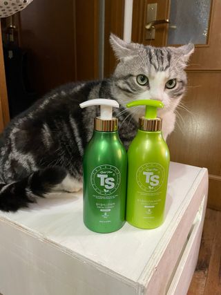 ゴールドプラスセット(シャンプー500g x 1ea/トリートメント500ml X 1ea) — 4점을 준 리뷰어가 2023년 4월 올린 사용 사진