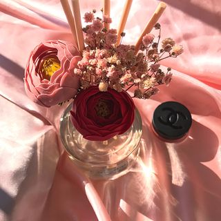 코코도르 디퓨저 120ml, 200ml, 500ml — 5점을 준 리뷰어가 2022년 2월 올린 사용 사진