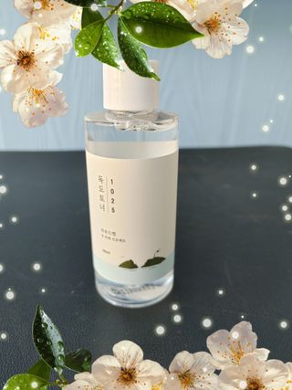라운드 랩 1025 독도 토너 100ml — 5점을 준 리뷰어가 2021년 2월 올린 사용 사진