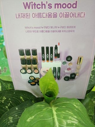 Ailinh님이 올린 리뷰 사진 2