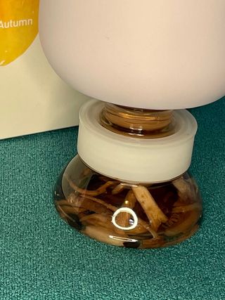 lwyrup님이 올린 리뷰 사진 3