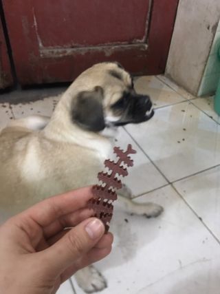 do an na님이 올린 리뷰 사진 2