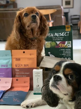 jenteo27님이 올린 리뷰 사진 1