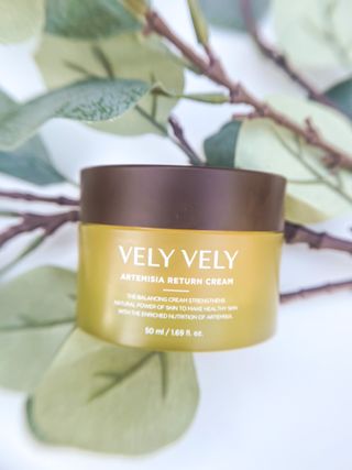 VELY VELY Artemisia Return Cream — 4점을 준 리뷰어가 2021년 4월 올린 사용 사진