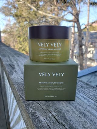 VELY VELY Artemisia Return Cream — 3.5점을 준 리뷰어가 2021년 4월 올린 사용 사진