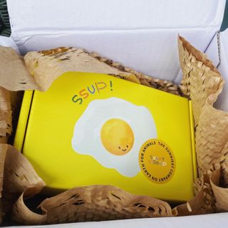 애니마크 노랑 센텔라 살브 — 5점을 준 리뷰어가 2022년 8월 올린 사용 사진