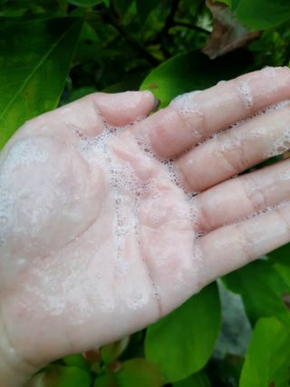 _meow1210_님이 올린 리뷰 사진 3