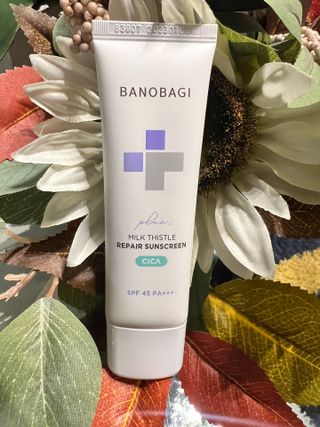 바노바기 코스메틱 바노바기 밀크씨슬 리페어 시카 선스크린 플러스 50ml — 5점을 준 리뷰어가 2023년 9월 올린 사용 사진