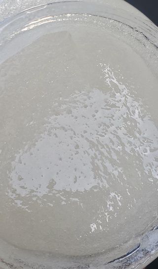 SarriKoziol님이 올린 리뷰 사진 3