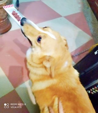 ViTGiang님이 올린 리뷰 사진 4