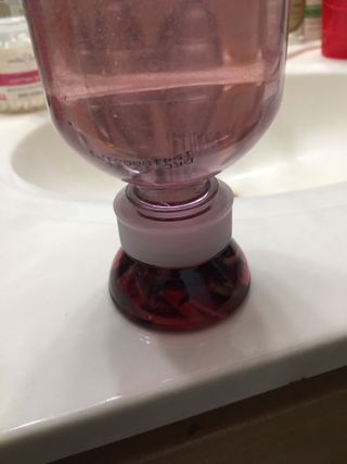 K-doraji PSI TEA Infuser Water Bottle,  Easy Tea Making with Cute Tea Infuser, cold brew tea. — 4점을 준 리뷰어가 2021년 9월 올린 사용 사진