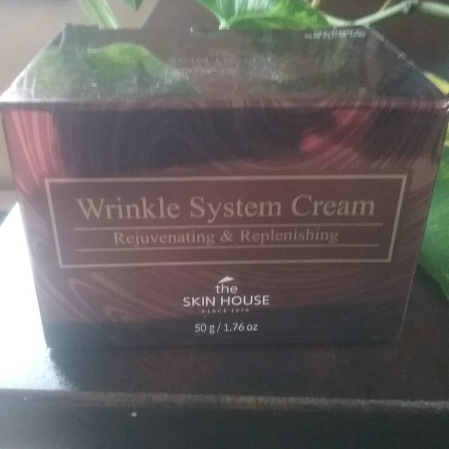 [THE SKIN HOUSE] Wrinkle System Cream 리뷰 사진