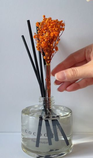 AshM님이 올린 리뷰 사진 2