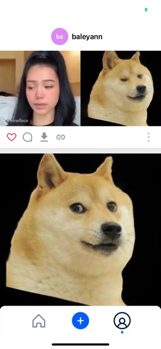 AMOC님이 올린 리뷰 사진 3