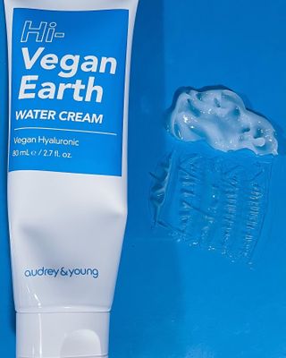 오드리앤영 하이 비건 얼스 워터 크림 80g — 5점을 준 리뷰어가 2021년 8월 올린 사용 사진