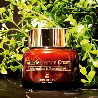 [THE SKIN HOUSE] Wrinkle System Cream — 5점을 준 리뷰어가 2021년 12월 올린 사용 사진