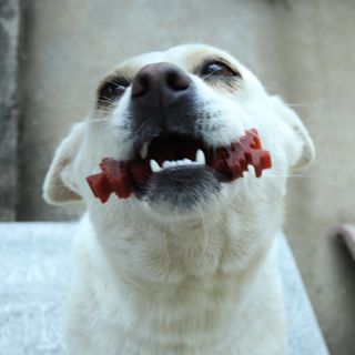 Nguyễn Đức Tâm님이 올린 리뷰 사진 4
