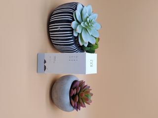 alena07112님이 올린 리뷰 사진 1