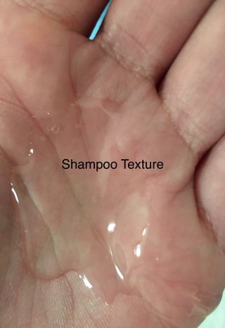 TS 블루에디션(샴푸200ml+바디워시200ml SET) — 5점을 준 리뷰어가 2023년 6월 올린 사용 사진