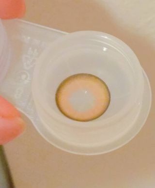 Erena Takahashi님이 올린 리뷰 사진 3