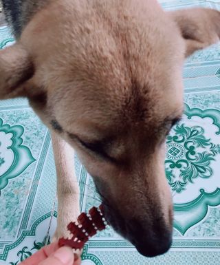 Thuỳ Dinh님이 올린 리뷰 사진 1