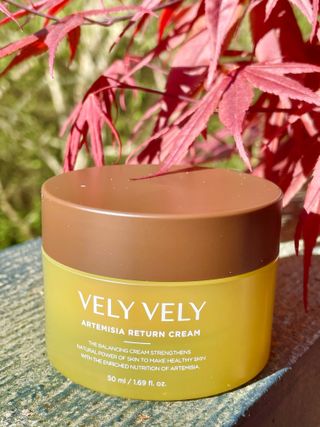 VELY VELY Artemisia Return Cream — 5점을 준 리뷰어가 2021년 4월 올린 사용 사진