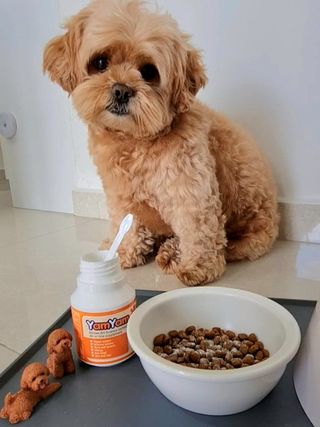 Puckerandpout님이 올린 리뷰 사진 3