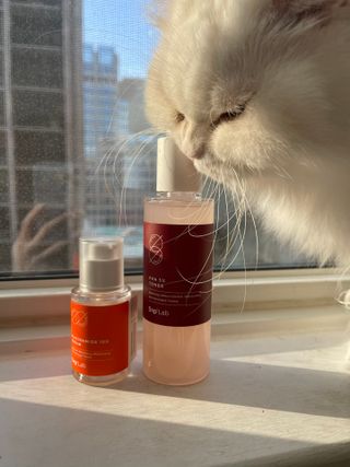 sanslittleworld님이 올린 리뷰 사진 1