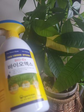 Leeb님이 올린 리뷰 사진 2