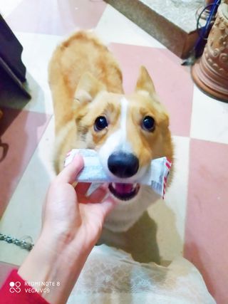 ViTGiang님이 올린 리뷰 사진 3