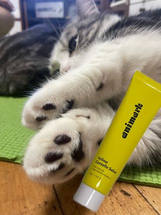 kamuna님이 올린 리뷰 사진 1
