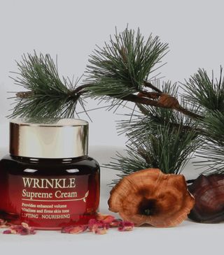[The Skin House] Wrinkle Supreme Cream — 5점을 준 리뷰어가 2023년 1월 올린 사용 사진