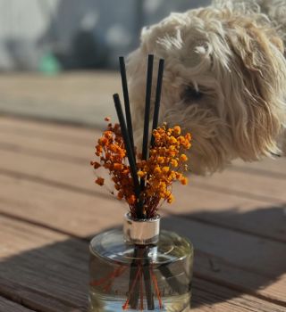 suhlee님이 올린 리뷰 사진 2