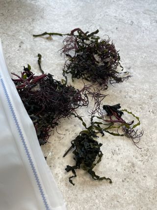 VinhHuuQuangPhung님이 올린 리뷰 사진 2