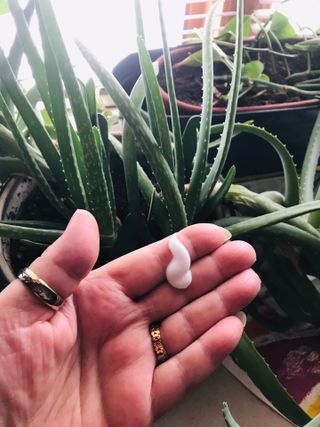 FruGal님이 올린 리뷰 사진 3