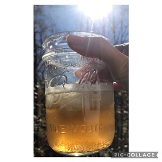 JamieChaw님이 올린 리뷰 사진 2